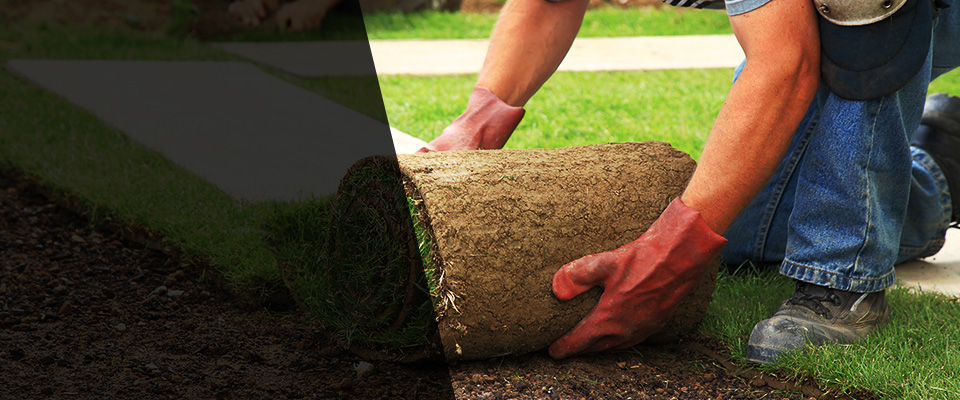 Dyersville Landscapers